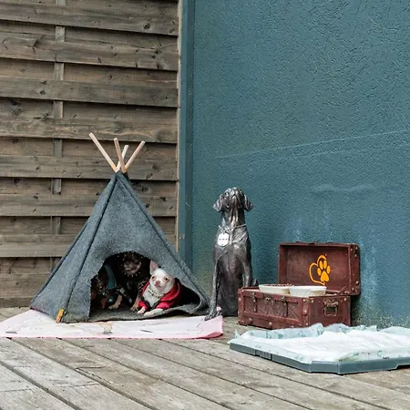 Chihuahua's Oetscher Apartment, But People Are Also Very Welcome In Our Eco-friendly Resort! * Lackenhof