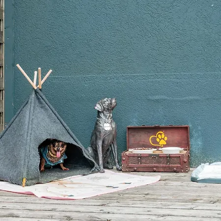 Chihuahua's Oetscher Apartment, But People Are Also Very Welcome In Our Eco-friendly Resort! Appartement Lackenhof