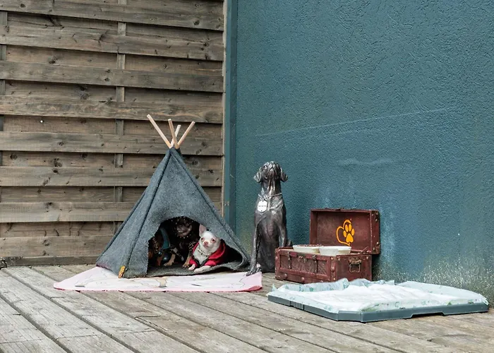 Chihuahua's Oetscher Apartment, But People Are Also Very Welcome In Our Eco-friendly Resort! * لاكينهوف