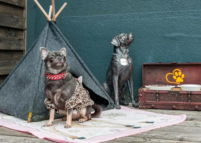 Chihuahua's Oetscher Apartment, But People Are Also Very Welcome In Our Eco-friendly Resort! شقة لاكينهوف